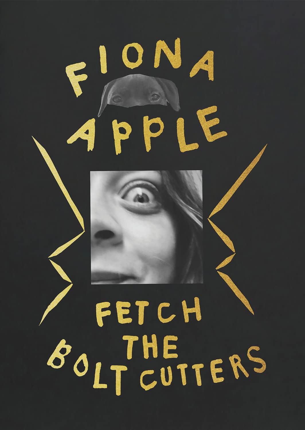 CD - Fiona Apple - Fetch The Bolt Cutters (DLX)