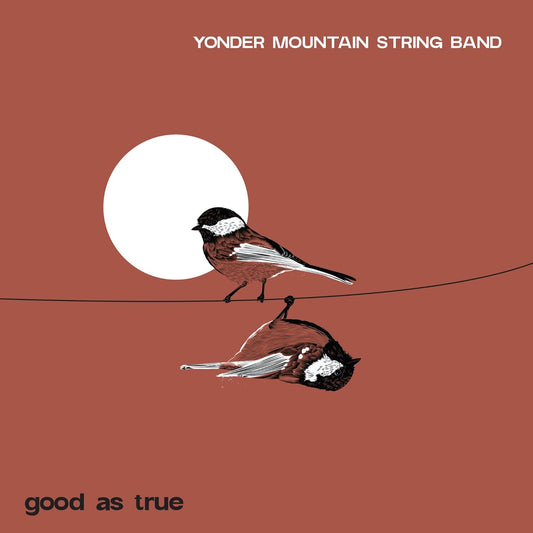 LP - Yonder Mountain String Band - Good As True