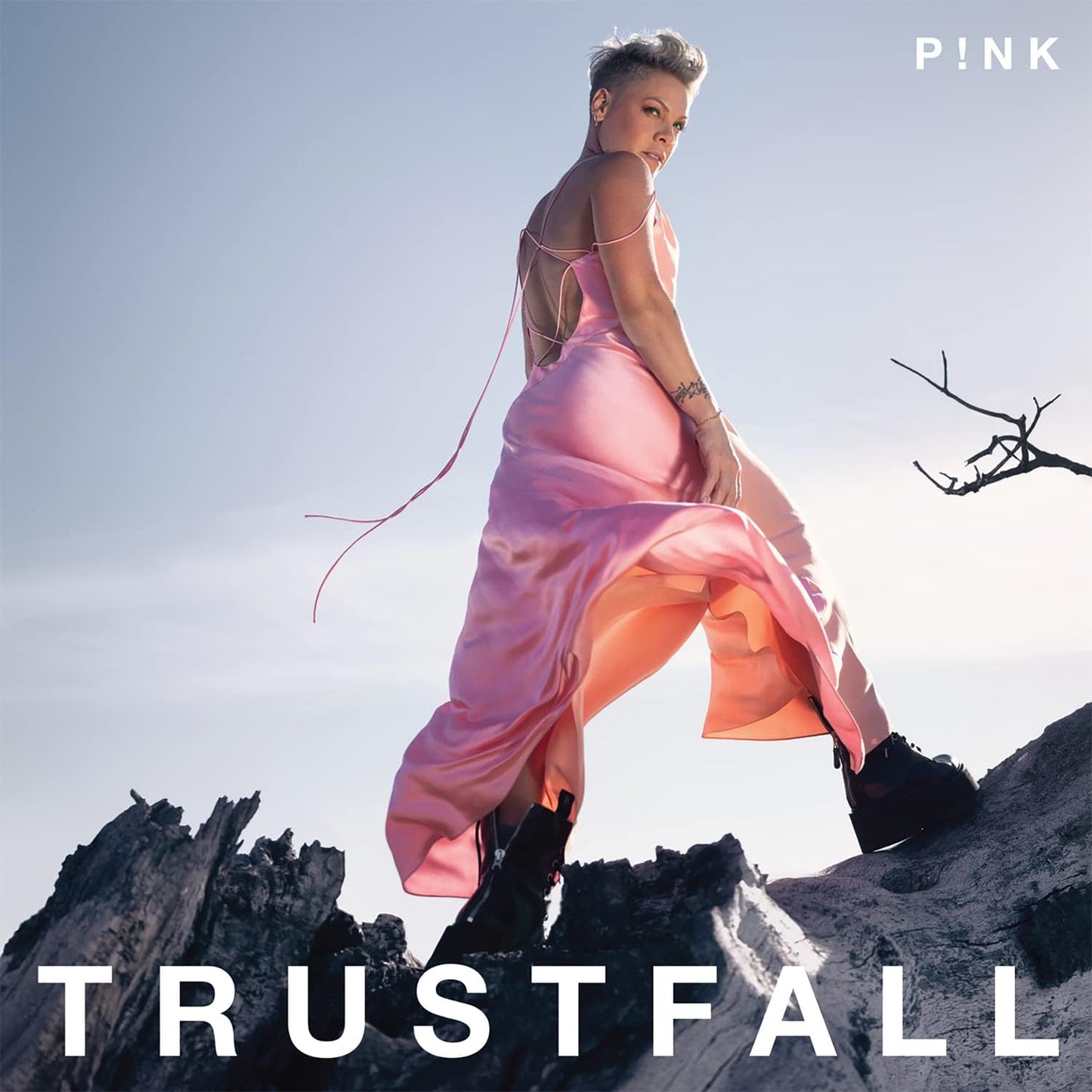 CD - Pink - Trustfall