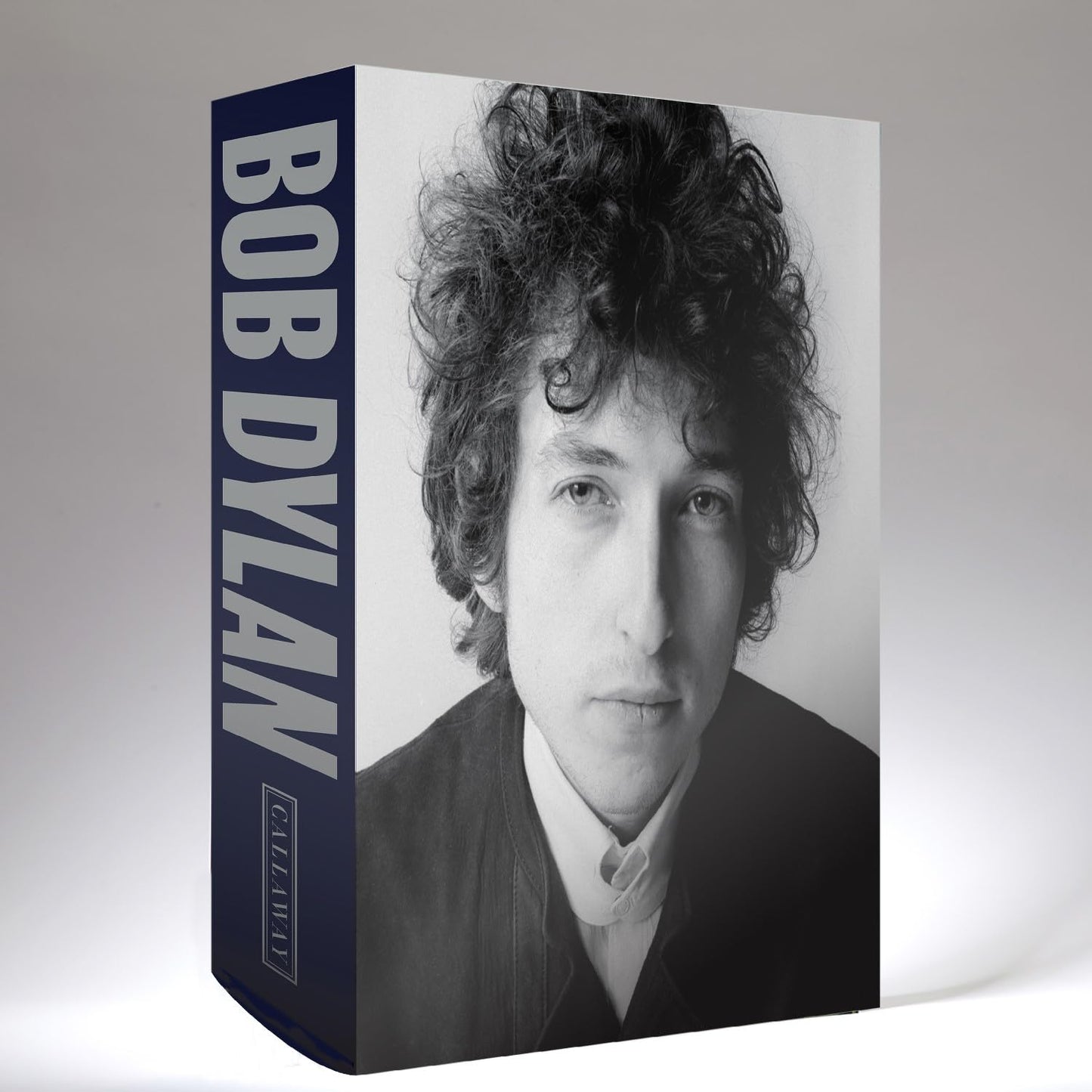BOOK - Bob Dylan - Mixing Up The Medicine