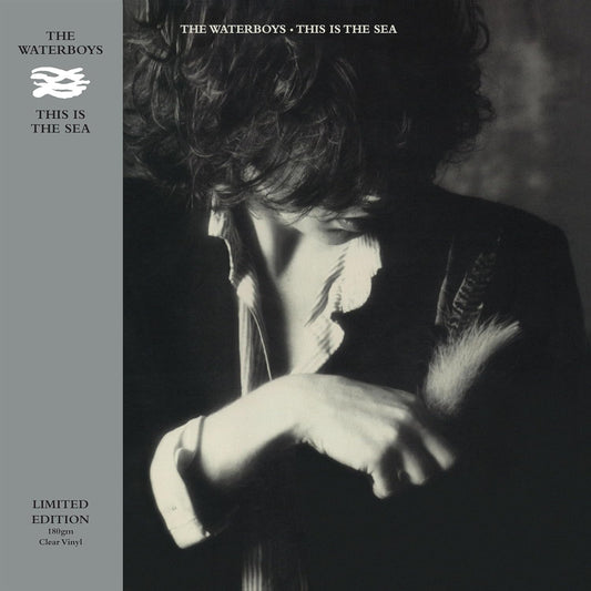 LP - The Waterboys - This Is The Sea