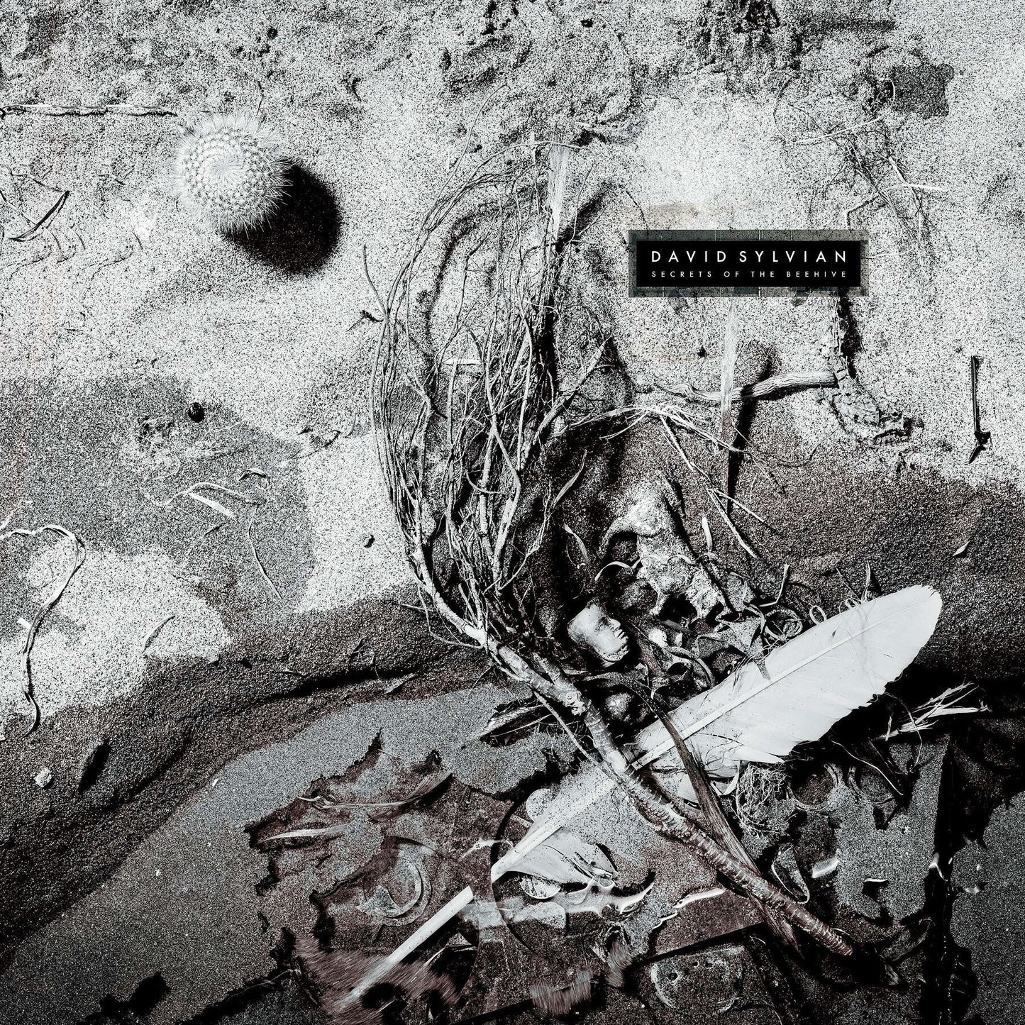 LP - David Sylvian - Secrets Of The Beehive (2025)