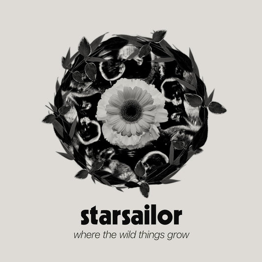 CD - Starsailor - Where The Wild Things Grow