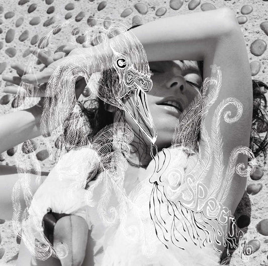 2LP - Bjork - Vespertine