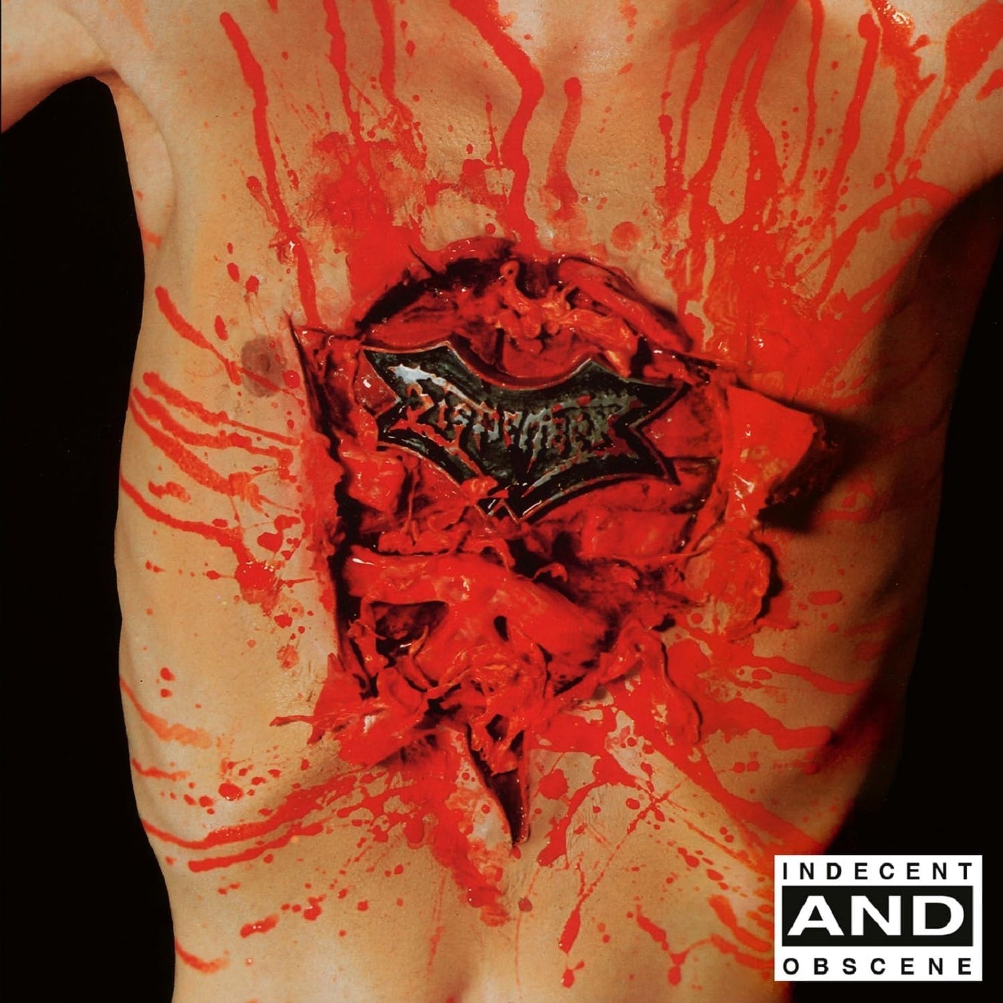 CD - Dismember - Indecent & Obscene