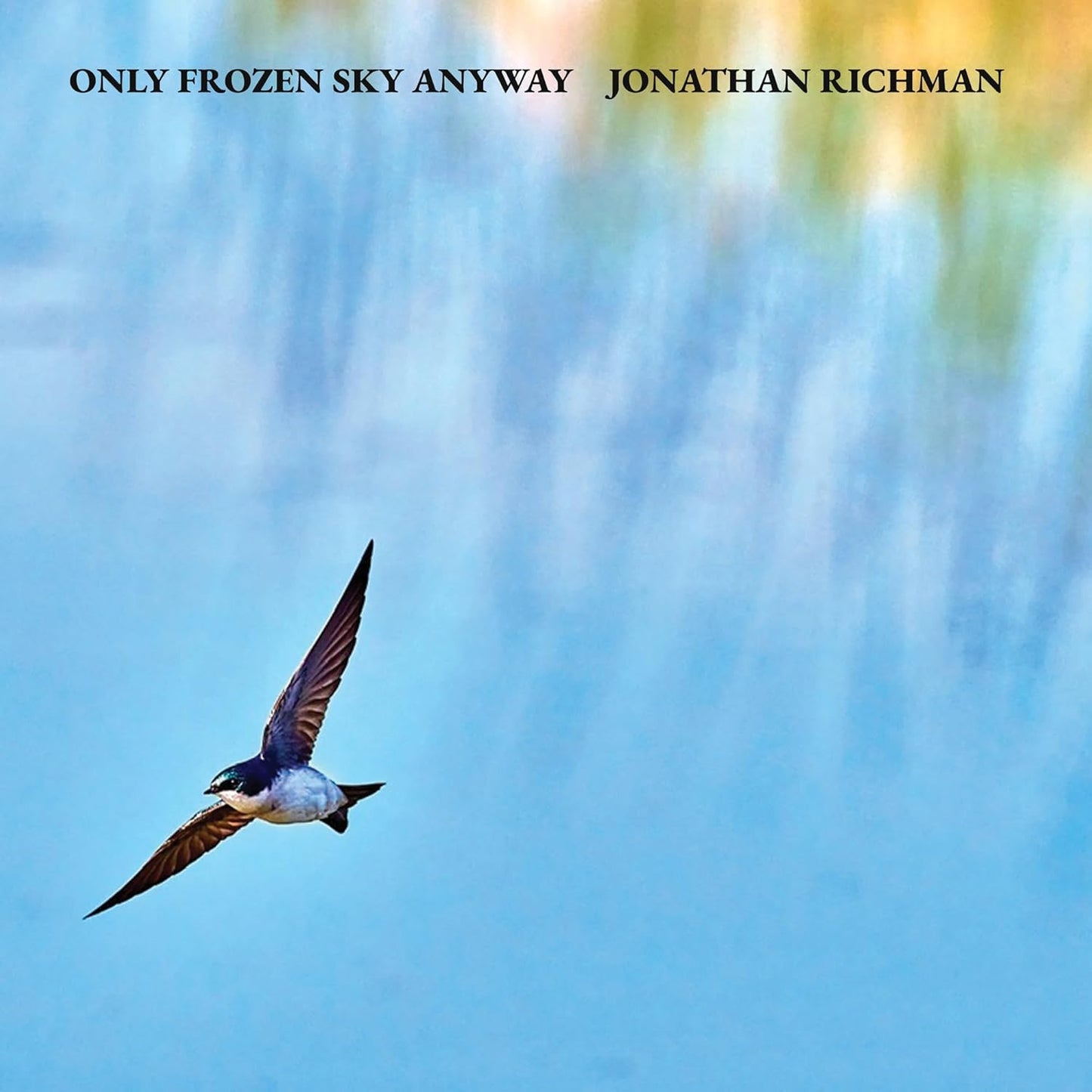 CD - Jonathan Richman - Only Frozen Sky Anyway