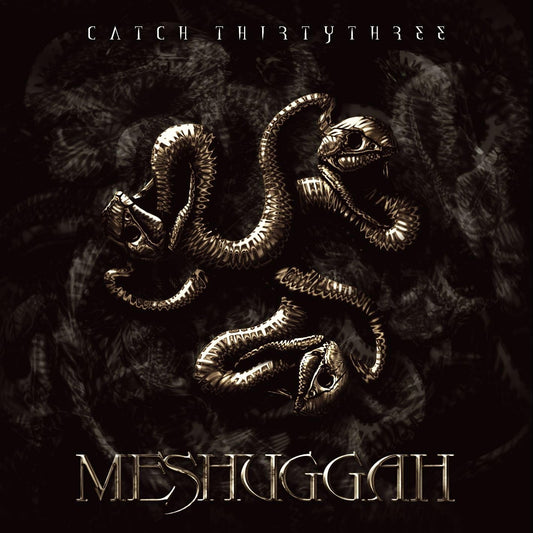 2LP - Meshuggah -  Catch Thirtythree: 20th Anniversary Edition