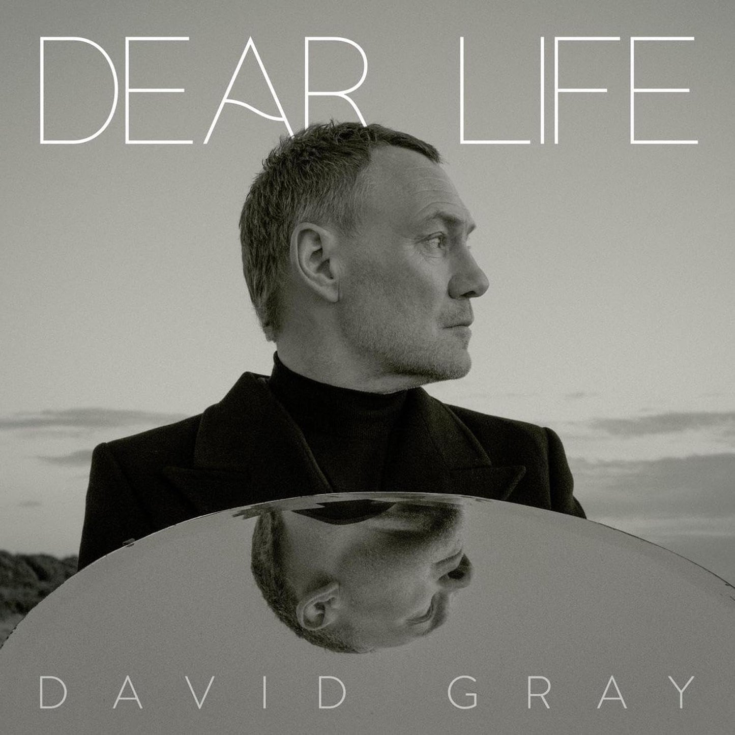 2LP - David Gray - Dear Life