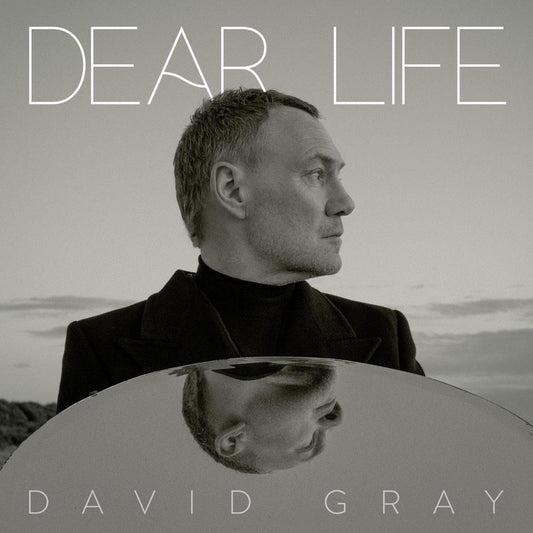 2LP - David Gray - Dear Life
