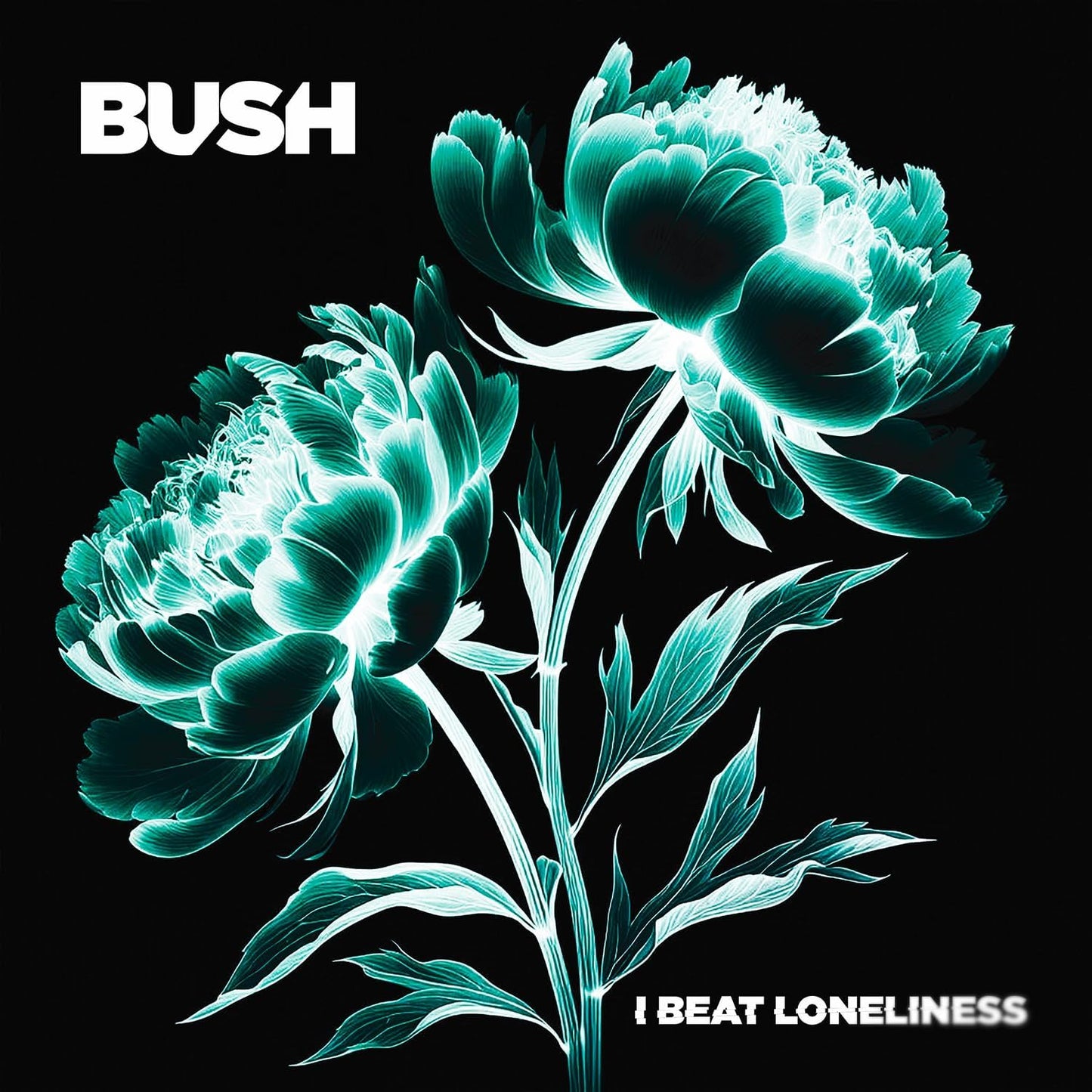 CD - Bush - I Beat Loneliness