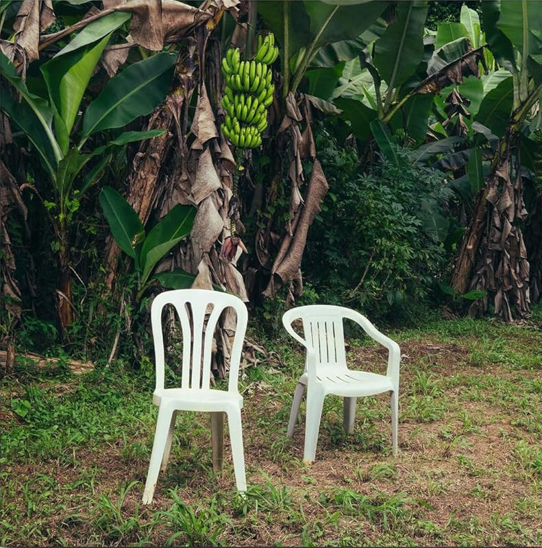 2LP - Bad Bunny - Debi Tirar Mas Fotos