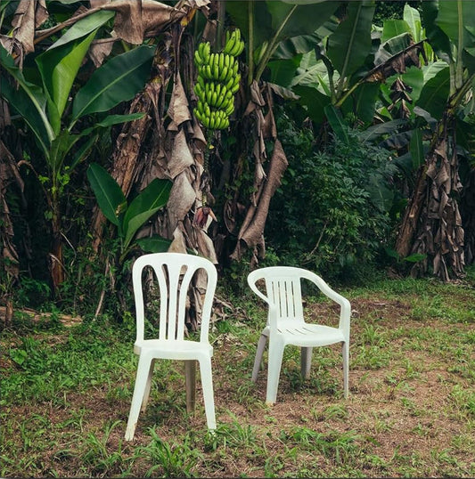 2LP - Bad Bunny - Debi Tirar Mas Fotos