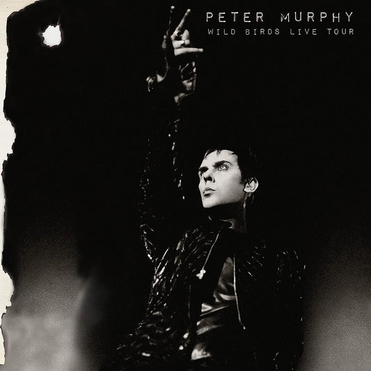 2CD - Peter Murphy - Wild Birds Live Tour