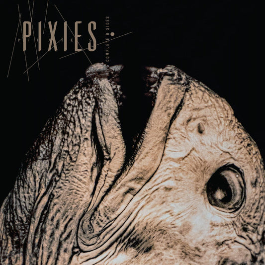 2CD - Pixies  - Complete B-Sides: 1988-97 (Pre-Order)