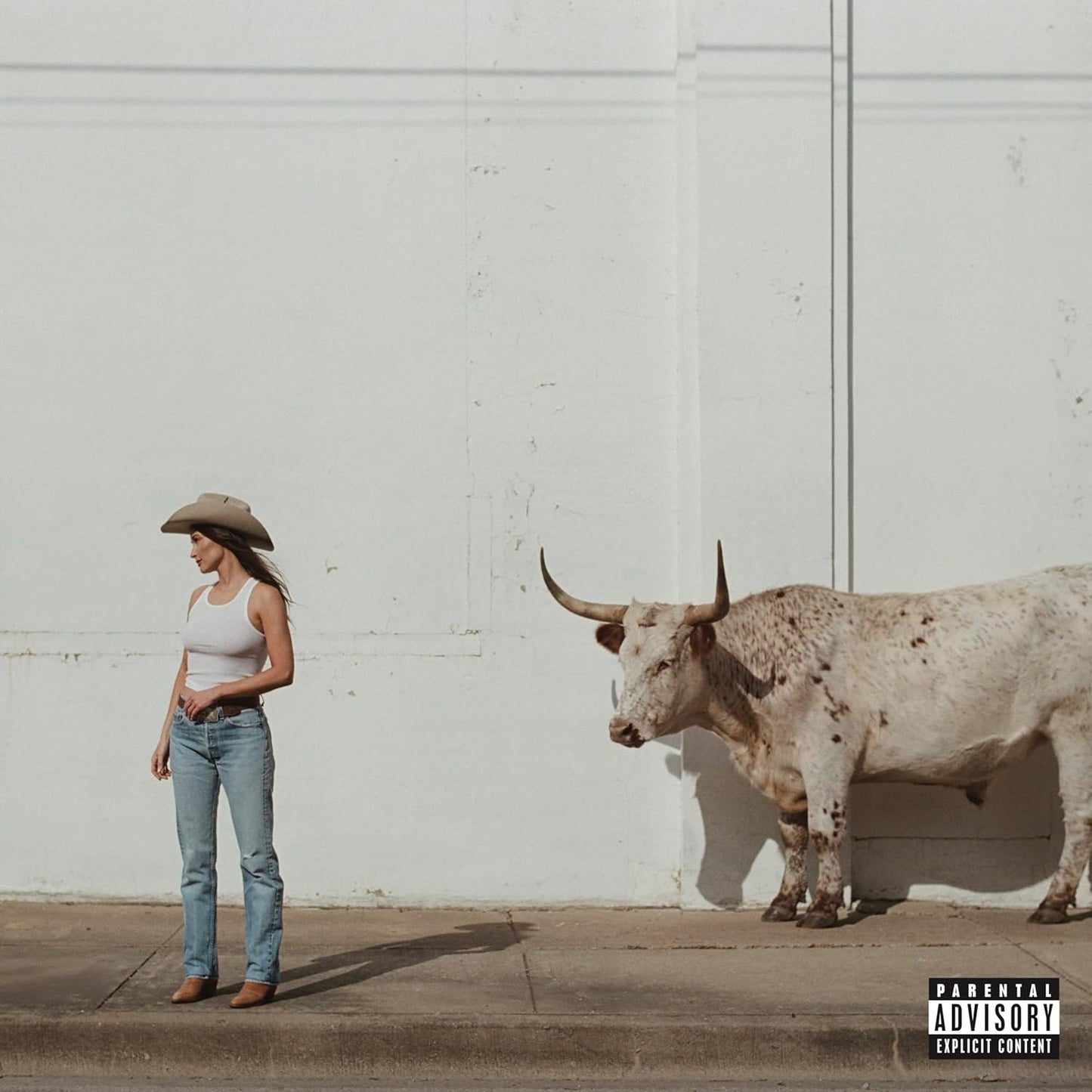 CD - Kacey Musgraves - Middle Of Nowhere