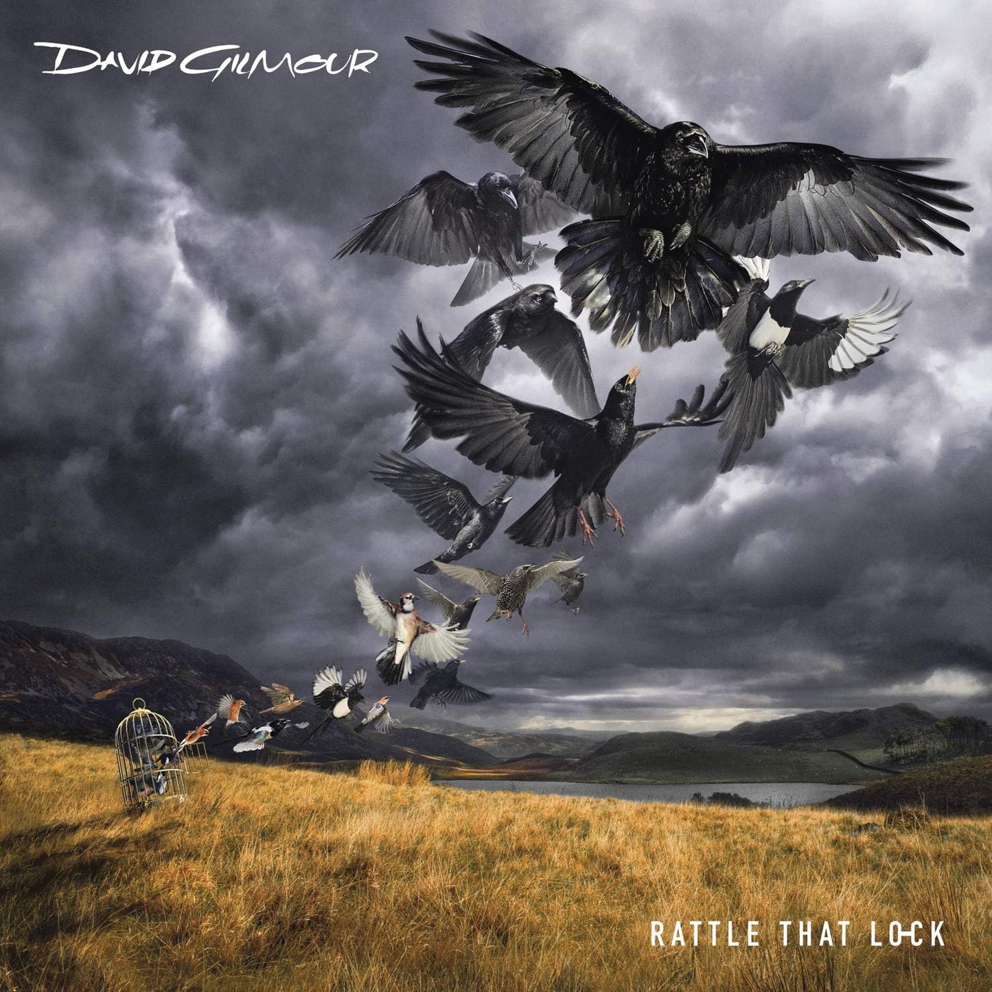 CD - David Gilmour - Rattle That Lock