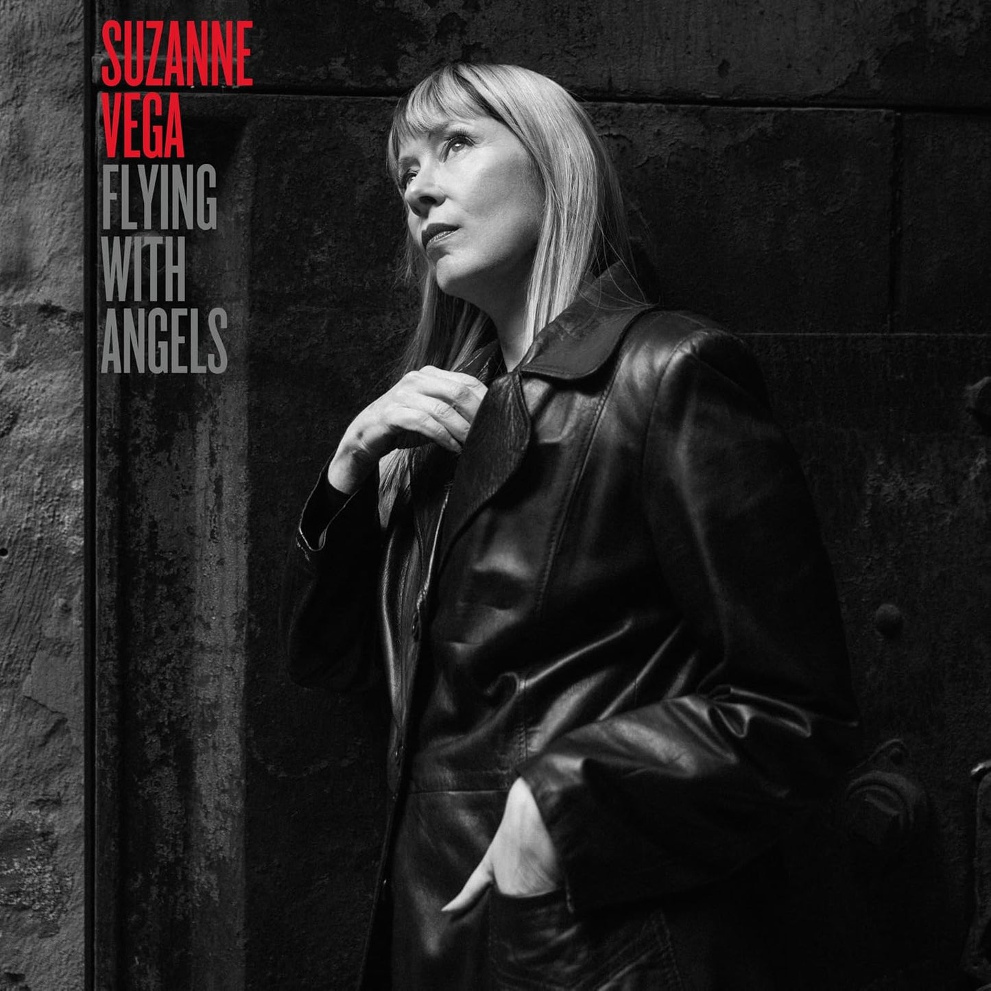 CD - Suzanne Vega - Flying With Angels