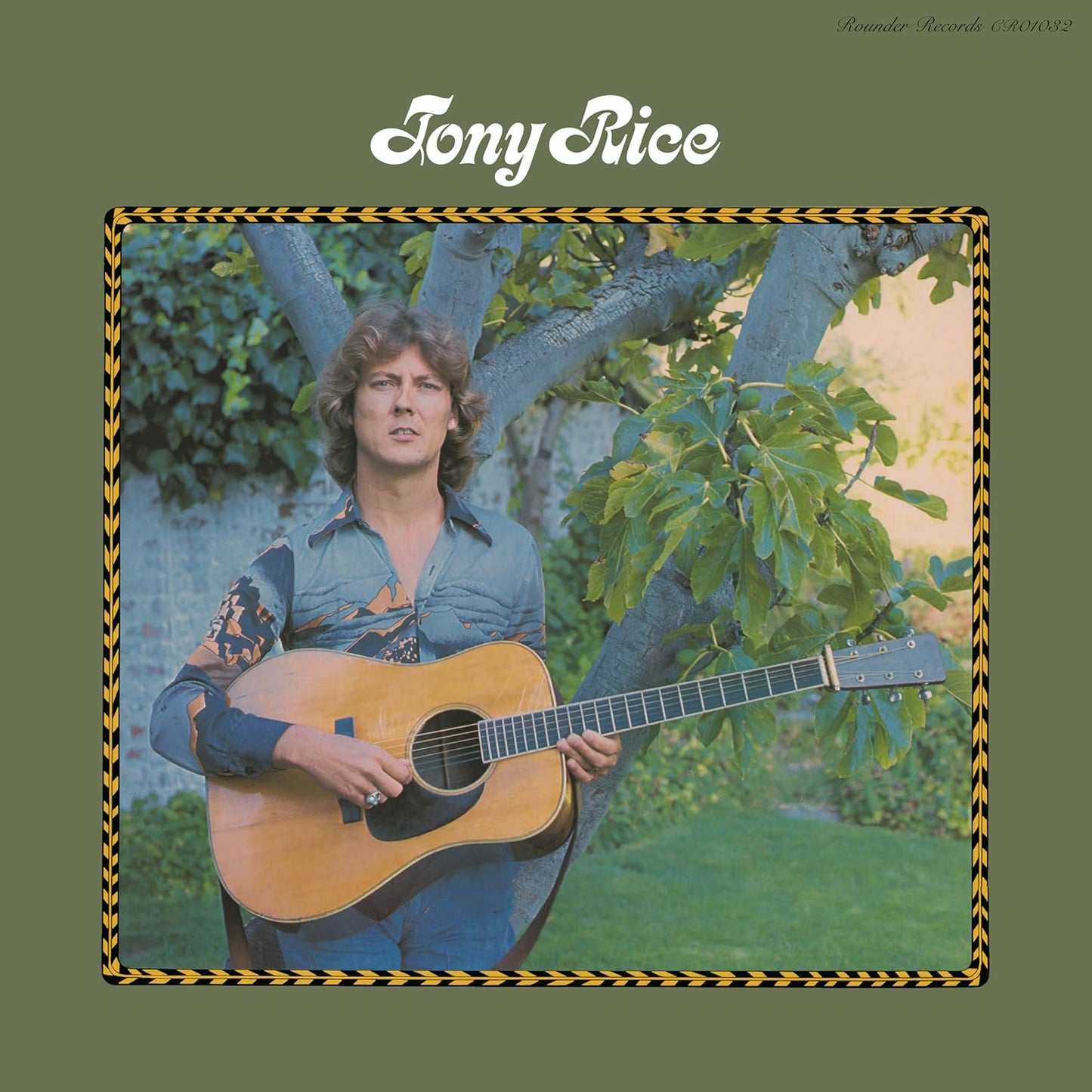 LP - Tony Rice - Tony Rice (Copy)