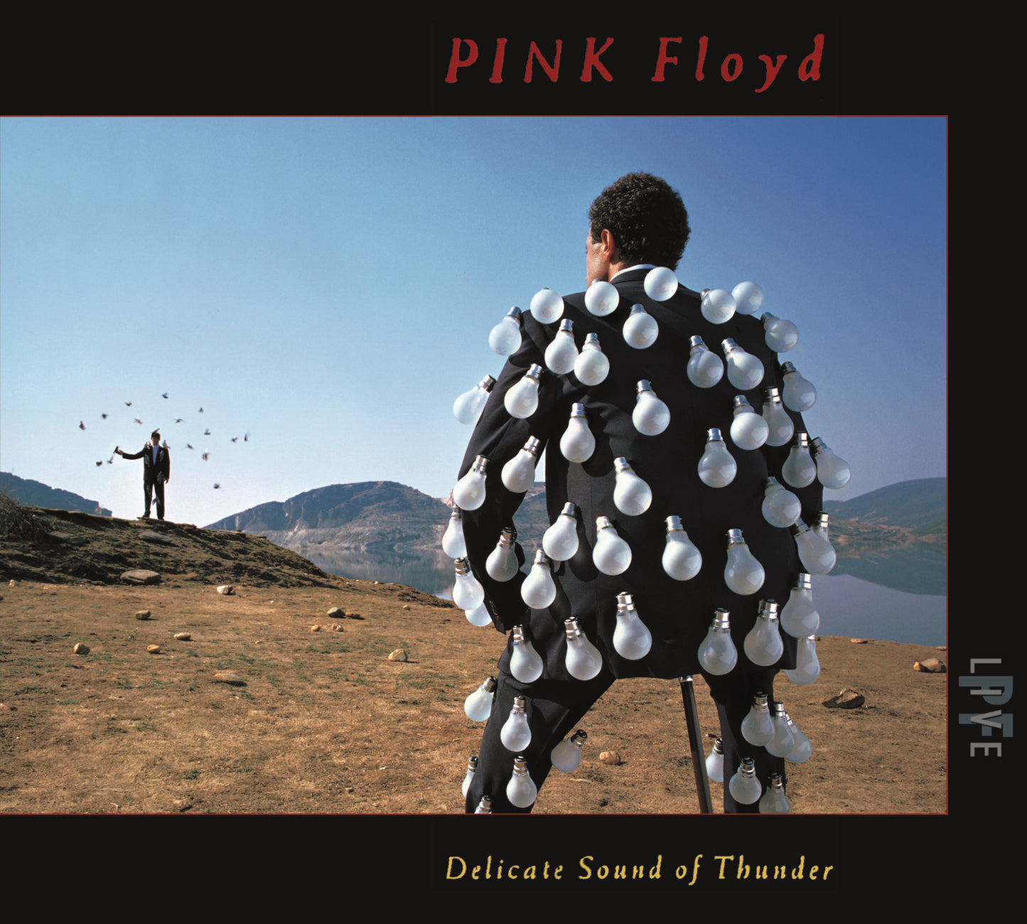 2CD - Pink Floyd - Delicate Sound Of Thunder