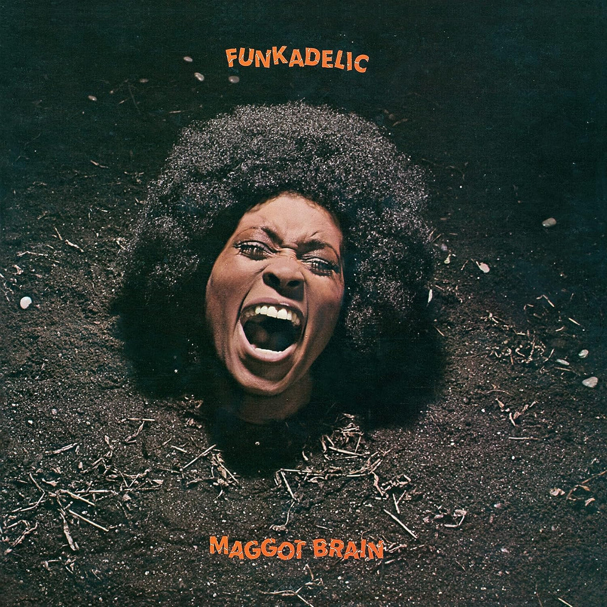 CD - Funkadelic - Maggot Brain