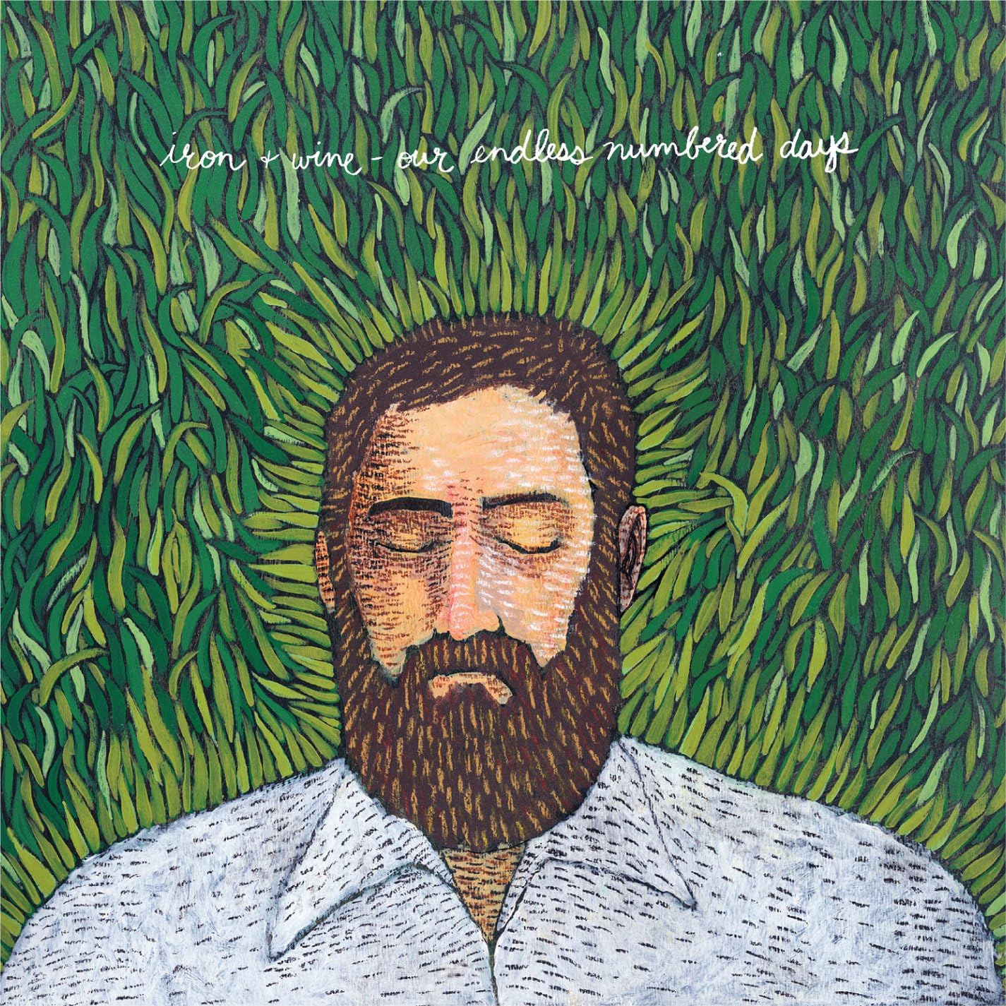 LP - Iron & Wine - Our Endless Numbered Days