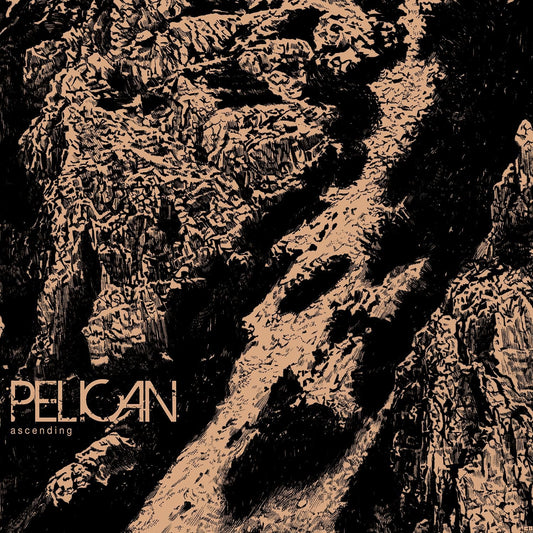 LP - Pelican - Ascending