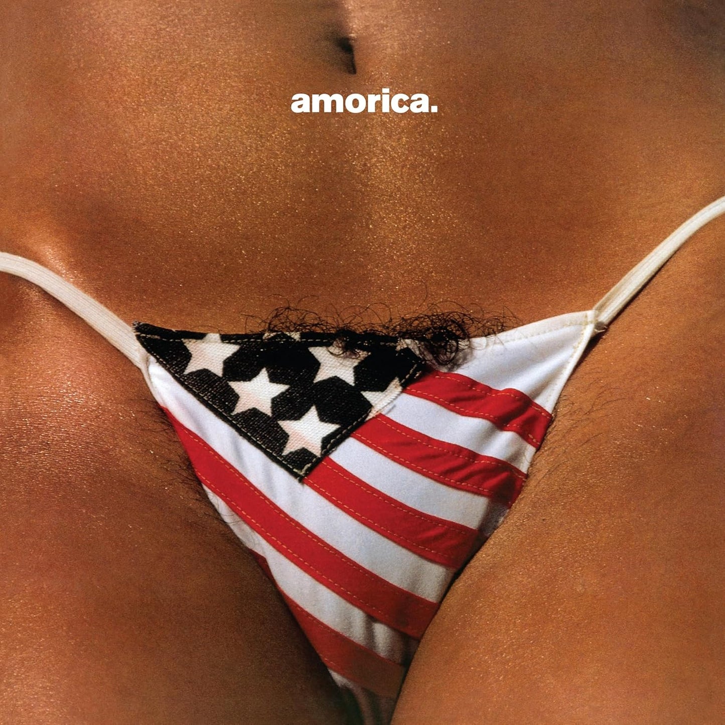 5LP - The Black Crowes - Amorica
