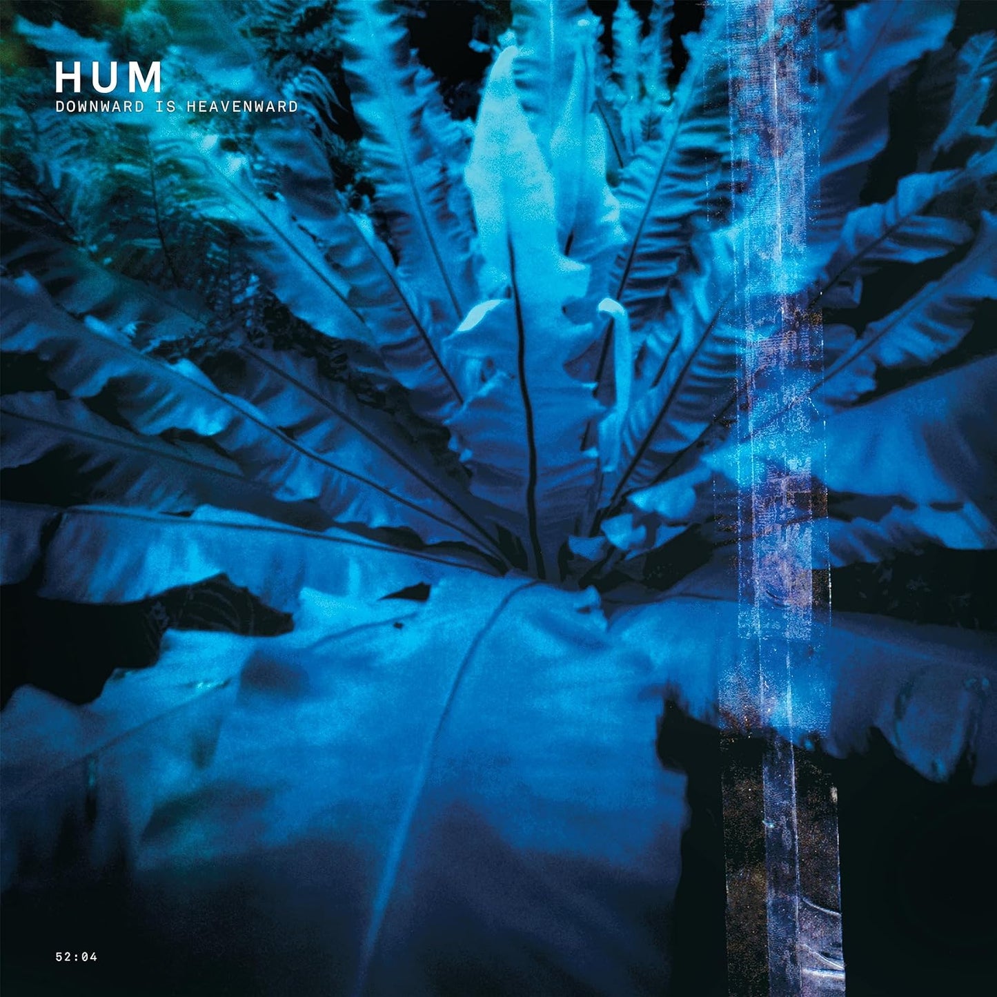 2LP - Hum - Downward Is Heavenward