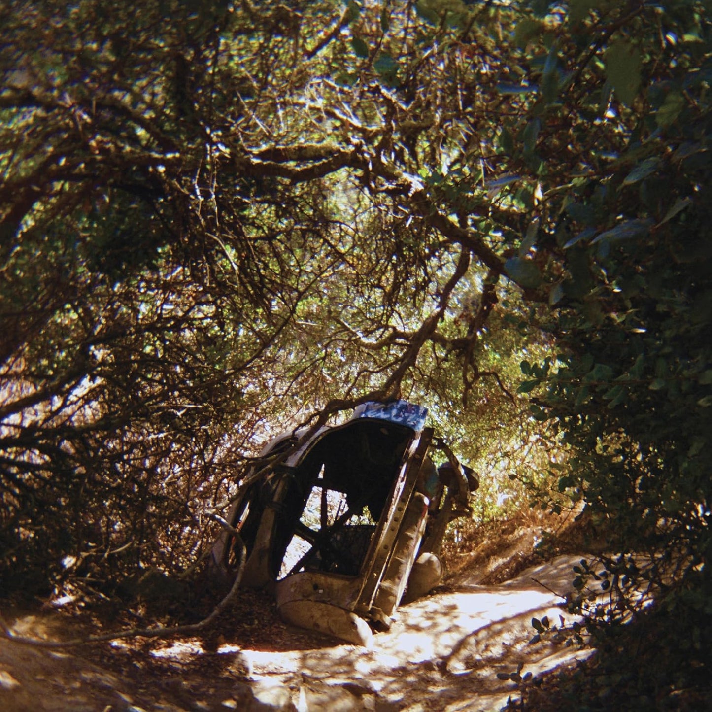 CD - Ty Segall - Possession