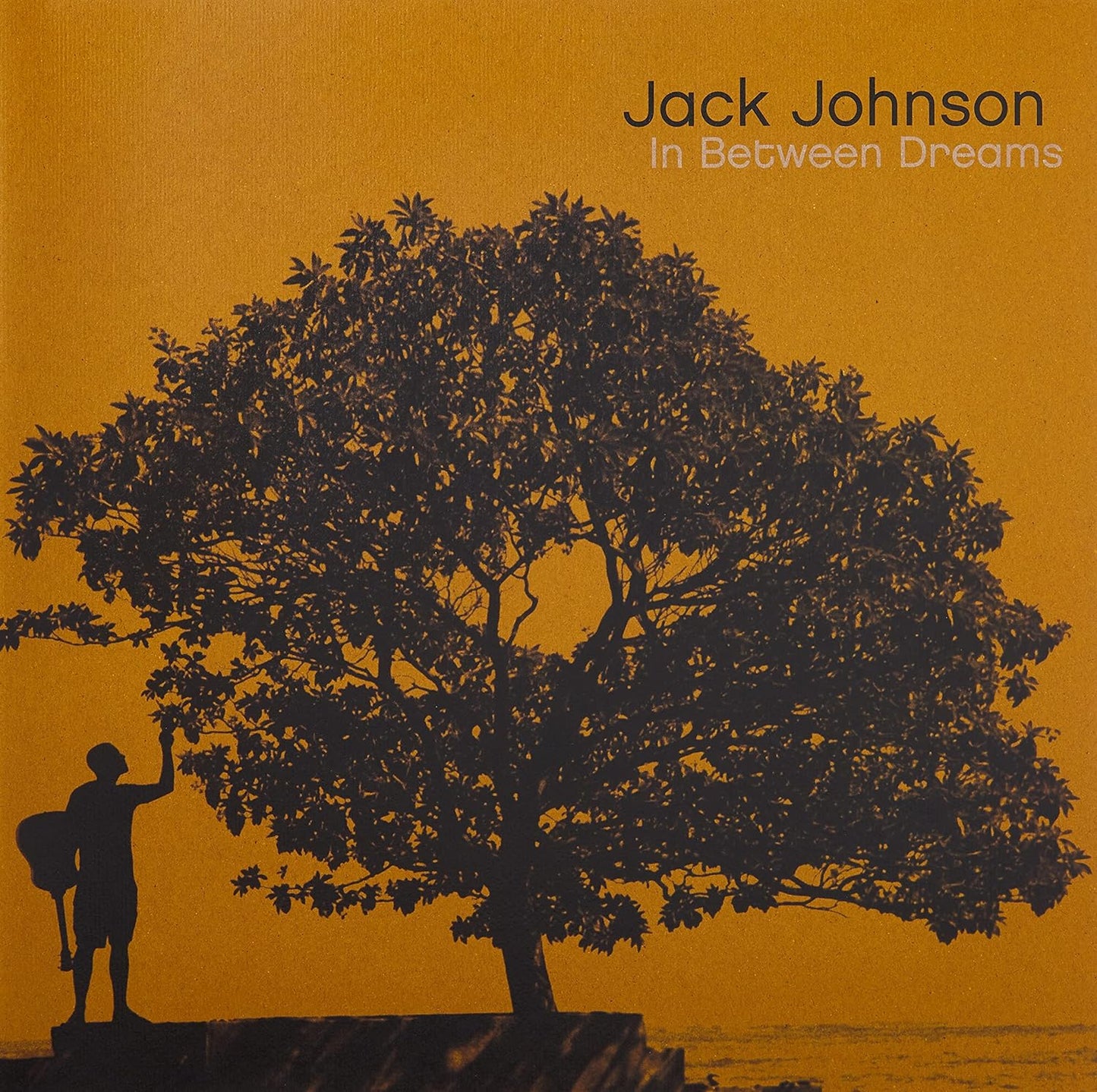 LP - Jack Johnson - In Between Dreams