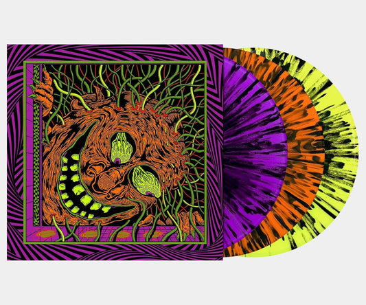 3LP - King Gizzard - Live In Miami '24