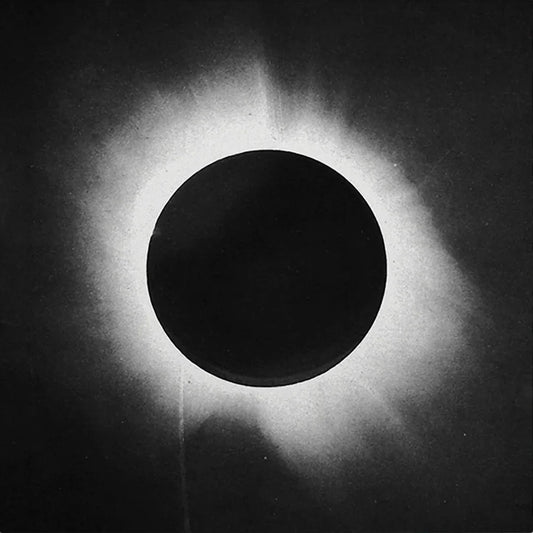 LP - Architects - All Our Gods Have Abandonesd Us (10th)