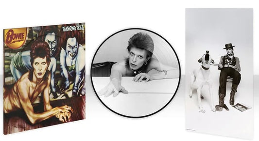 LP - David Bowie - Diamond Dogs 30th Picture Disc