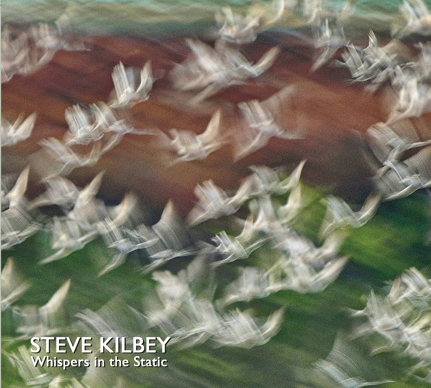 CD - Steve Kilbey - Whispers in the Static