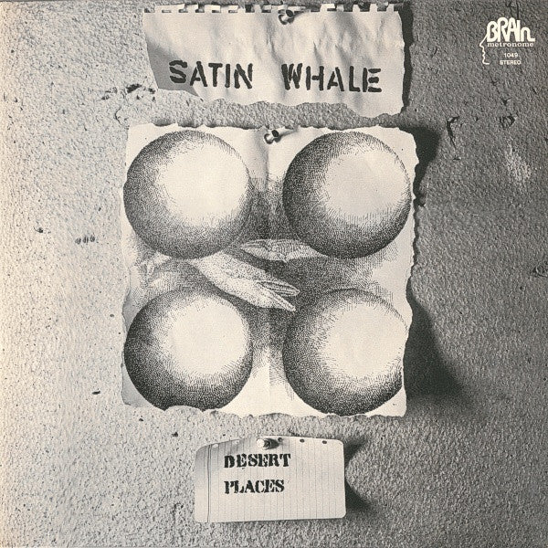 USED LP - Satin Whale - Desert Places