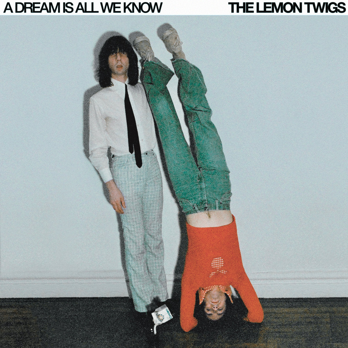 LP - Lemon Twigs - A Dream Is All We Know