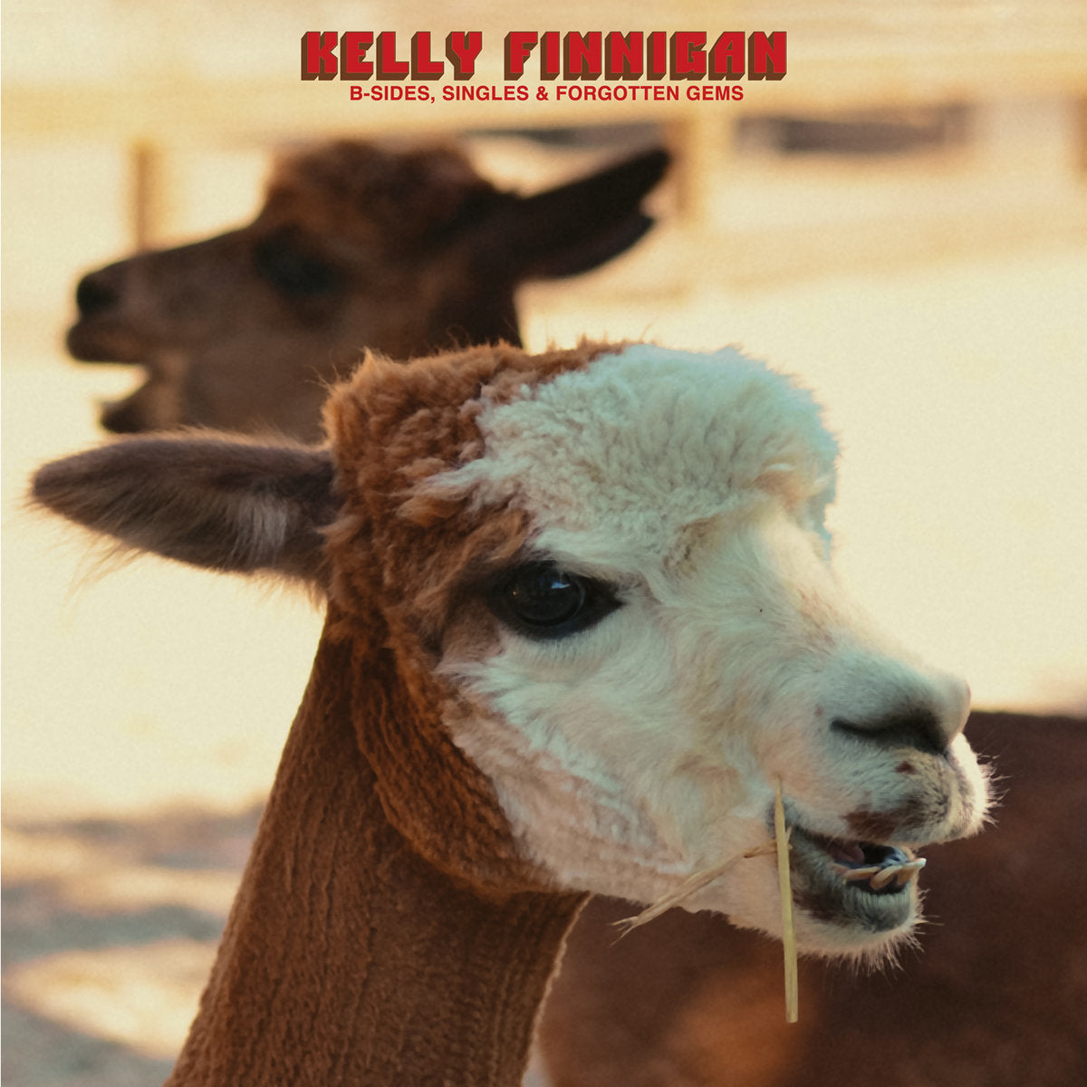 LP - Kelly Finnigan - B-Sides, Singles &amp; Forgotten Gems