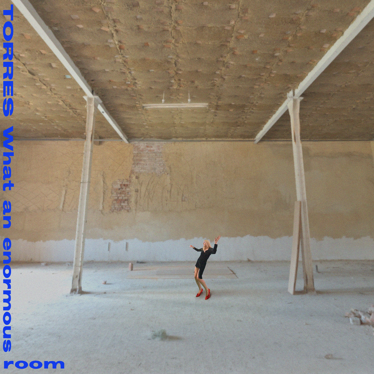 LP - Torres - What An Enormous Room