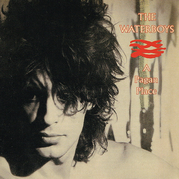 CD - The Waterboys – A Pagan Place