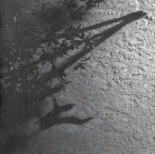 USED CD - Max Richter – The Blue Notebooks