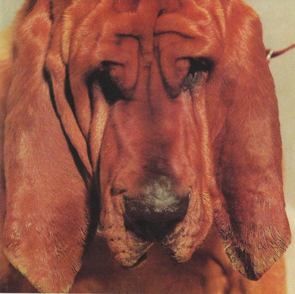 USED CD - Ty Segall – Goodbye Bread