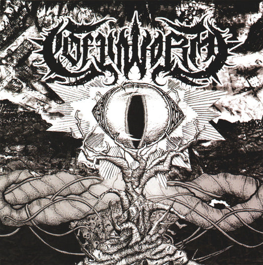 USED CD - Coffinworm – When All Became None