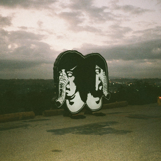 2LP - Death From Above 1979 - The Physical World (11th)