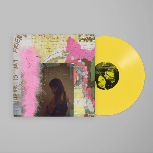 LP - Wednesday - I Was Trying To Describe You To Someone