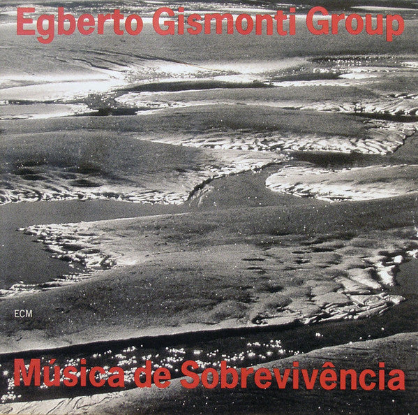 USED CD - Egberto Gismonti Group – Música De Sobrevivência