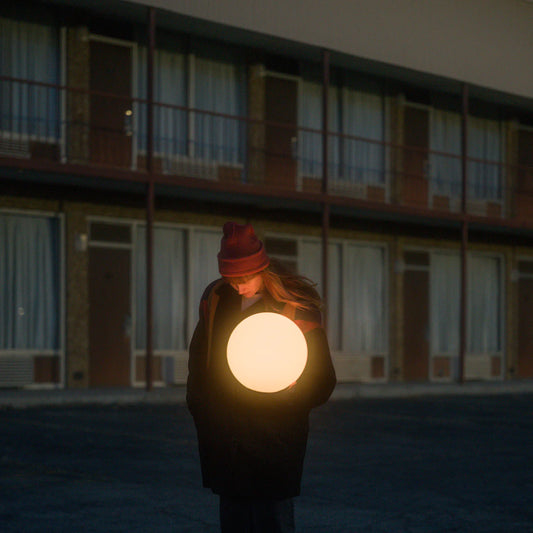 2LP - Flock Of Dimes - The Life You Save