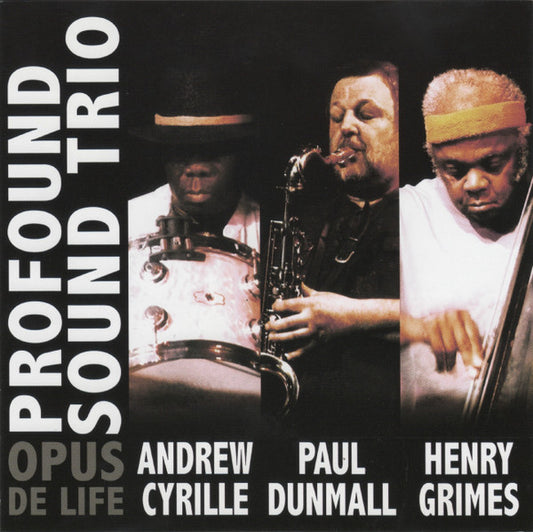 USED CD - Profound Sound Trio – Opus De Life