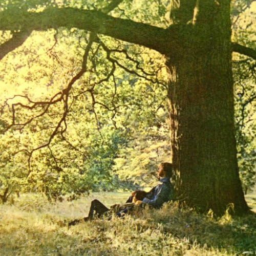 USED CD - Yoko Ono / The Plastic Ono Band – Yoko Ono / Plastic Ono Band