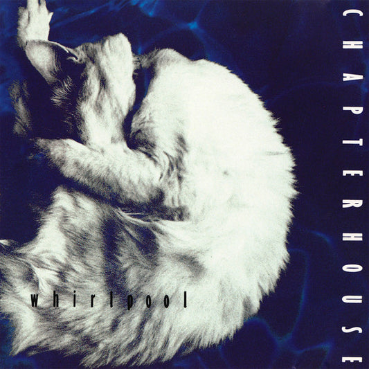 USED CD - Chapterhouse – Whirlpool