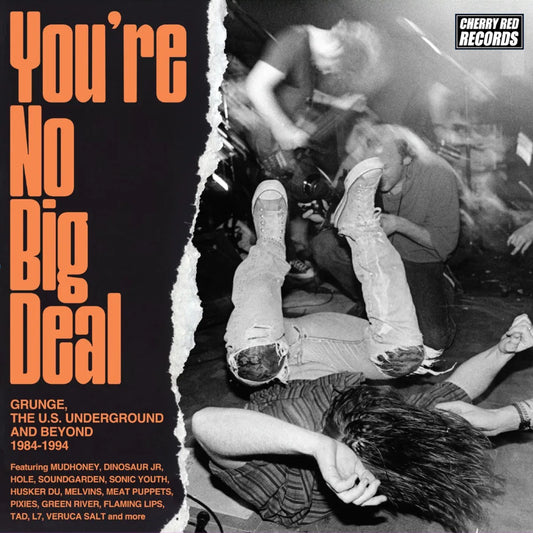 4CD - Various Artists - You’re No Big Deal - Grunge, The US Underground and Beyond 1984-1994